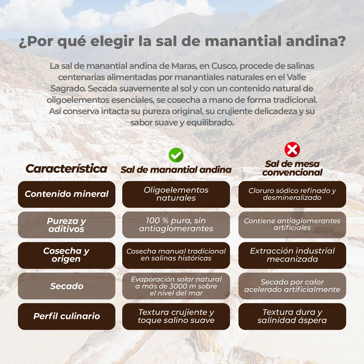 Comparación entre sal de manantial andina y sal de mesa convencional